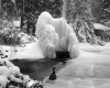My Family History - Photo Gallery