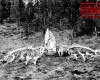 My Family History - Photo Gallery