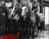 My Family History - Photo Gallery