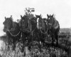 Photo Gallery - Family History Page - 019.jpg