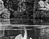 Photo Gallery - Family History Page - 089.jpg