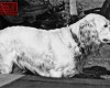 Photo Gallery - Family History Page - 091.jpg