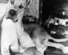 Photo Gallery - Family History Page - 102.jpg