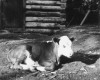 Photo Gallery - Family History Page - 106.jpg