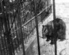 Photo Gallery - Family History Page - 112.jpg