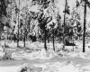 Photo Gallery - Family History Page - 117.jpg
