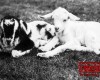 Photo Gallery - Family History Page - 120.jpg
