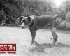 Photo Gallery - Family History Page - 126.jpg