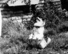 Photo Gallery - Family History Page - 130.jpg