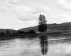 Photo Gallery - Family History Page - 131.jpg