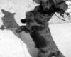 Photo Gallery - Family History Page - 133.jpg