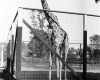 Photo Gallery -  Family History Page - 135.jpg