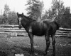Photo Gallery - Family History Page - 144.jpg
