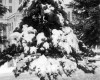 Photo Gallery - Family History Page - 151.jpg