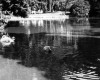 Photo Gallery - Family History Page - 152.jpg