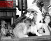 Photo Gallery - Family History Page - 156.jpg