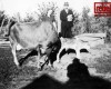 Photo Gallery - Family History Page - 159.jpg