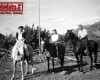 Photo Gallery - Family History Page - 160.jpg