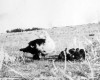 Photo Gallery - Family History Page - 179.jpg