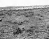 Photo Gallery - Family History Page - 194.jpg