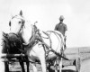 Photo Gallery - Family History Page - 195.jpg