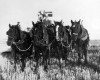 Photo Gallery - Family History Page - 204.jpg