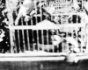 037-Myrtle Sheward Photo Album
