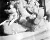 048-Myrtle Sheward Photo Album