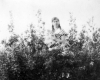 074-Myrtle Sheward Photo Album