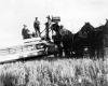 097-Myrtle Sheward Photo Album