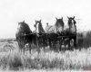100-Myrtle Sheward Photo Album