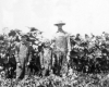 120-Myrtle Sheward Photo Album