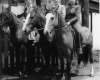 237-Myrtle Sheward Photo Album